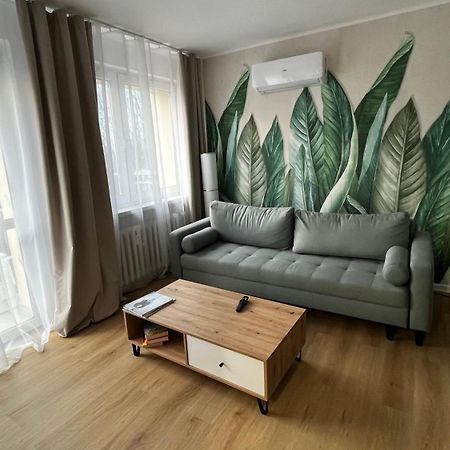 Gajowa Apartament 霍茹夫 外观 照片
