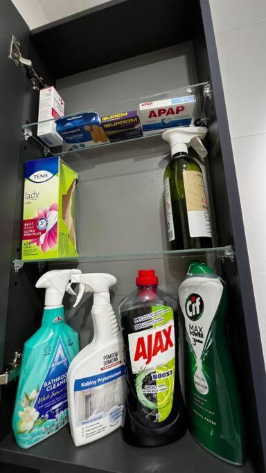 Gajowa Apartament 霍茹夫 外观 照片