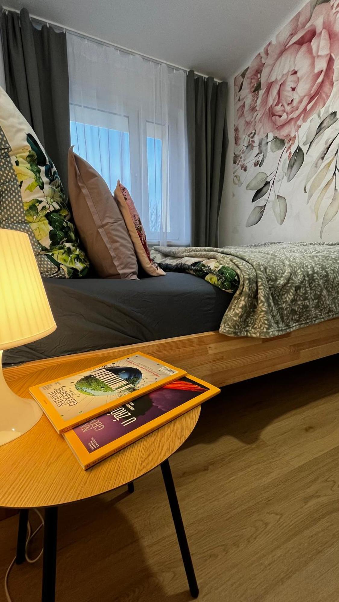 Gajowa Apartament 霍茹夫 外观 照片